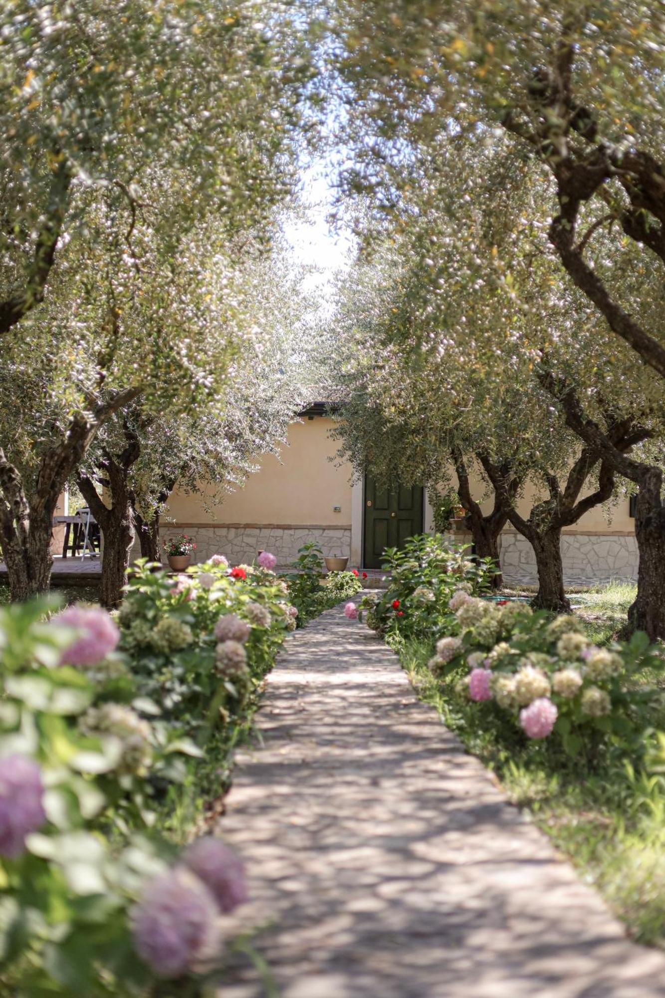 Agriturismo Il Pozzo Casal Velino Kültér fotó